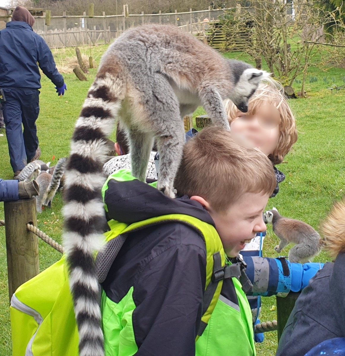 Tockwith Church of England Primary Academy » Y5/6 Trip to Flamingo Land Zoo