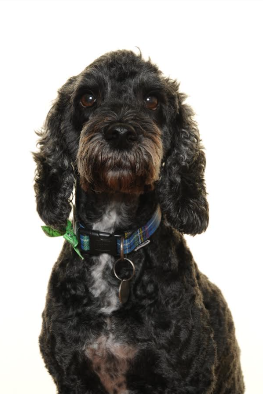 Neville – Dec 2023